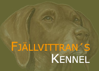 Fjällvittran´s Kennel